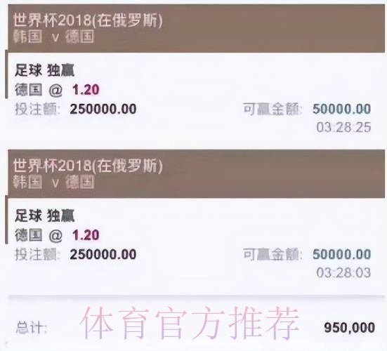 权威高清平台：世界杯投注全攻略
